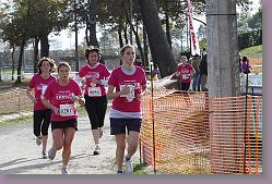 Gujan cross 28.11.09 02 720 * 640 x 427 * (164KB)